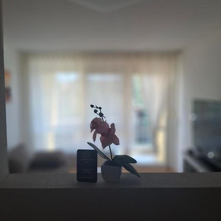 Ferienwohnung Shirin Rust Zewnętrze zdjęcie