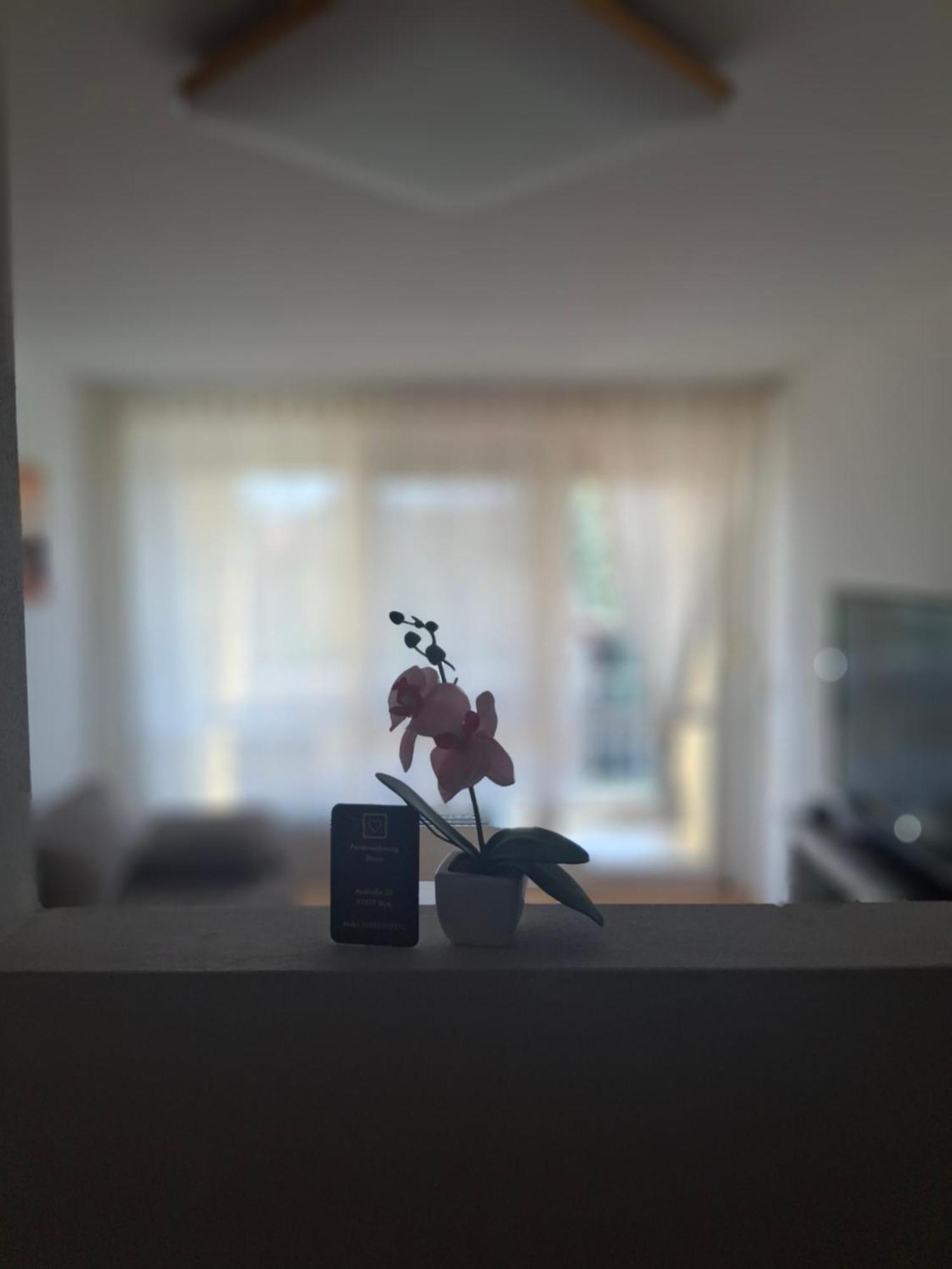 Ferienwohnung Shirin Rust Zewnętrze zdjęcie